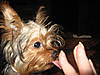 BLEU_JAN_10TH_019.jpg