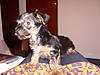 Baby_Tia_002.jpg