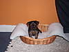 Baby_Tia_0061.jpg