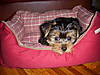 Bailey_Pics_005.jpg