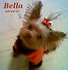 Bella102107.jpg