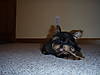 BooBear068.JPG