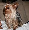 Boo_1-22-07.jpg