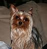 Boo_1-22-07_2.jpg
