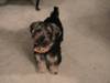 Bubba_resized.jpg