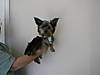 Buster_046.JPG