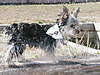Buster_055.JPG