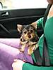 Buster_home_008.jpg