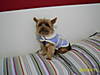 Busters_new_shearling_coat.JPG
