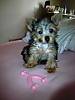 Chelsea_s_first_pic.jpg