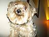Christmas06_059.jpg