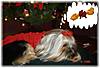 Christmas_Sophie_395_x_270_.jpg