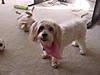 DSC00007.JPG