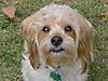 DSC00027.JPG