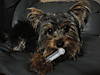 DSC00044.JPG