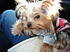 DSC00134.JPG
