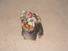 DSC00223-2.JPG