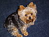 DSC00290.JPG