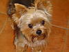 DSC00295.JPG