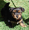 DSC00333_edited.JPG