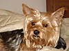 DSC00334.jpg