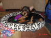 DSC00347.JPG