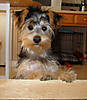 DSC00427-313-07first-HCut.jpg