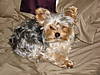 DSC00492.JPG