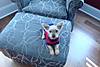 DSC005131.JPG