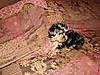 DSC005191.jpg