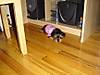 DSC00532_2.JPG