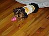 DSC00582_2.JPG