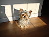 DSC00624.JPG