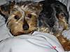 DSC00628_3.JPG