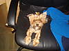 DSC00637.JPG