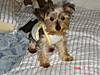DSC00637_2.JPG