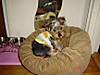 DSC00642_2.JPG