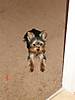 DSC00672.jpg