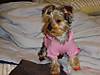 DSC00677_2.JPG
