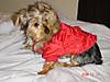 DSC00681_2.JPG