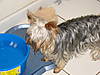 DSC00712.JPG