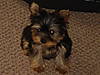 DSC00789.JPG