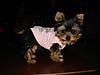 DSC00791.JPG