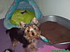 DSC00875.JPG