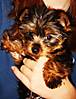DSC00903.JPG