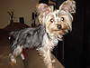 DSC00983.JPG