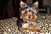 DSC01072.JPG