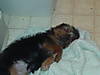 DSC01321.JPG
