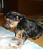 DSC01387.JPG