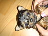DSC01402.JPG